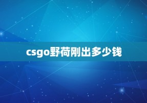 csgo野荷刚出多少钱