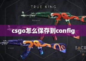 csgo怎么保存到config