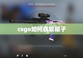 csgo如何获取箱子