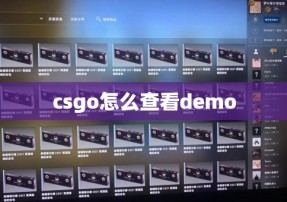 csgo怎么查看demo