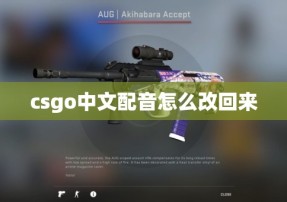 csgo中文配音怎么改回来