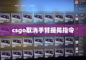 csgo取消手臂摇晃指令