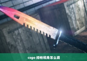 csgo 持枪视角怎么调