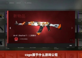 csgo属于什么游戏公司