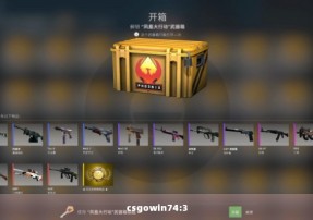 csgowin74:3