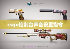 csgo控制台声音设置指令