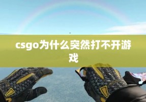 csgo为什么突然打不开游戏