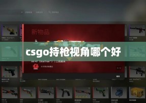 csgo持枪视角哪个好