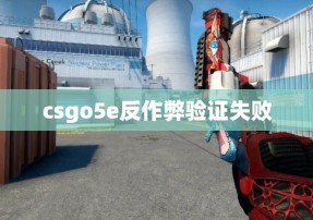 csgo5e反作弊验证失败