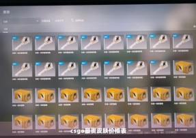 csgo最贵皮肤价格表