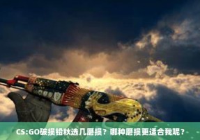 CS:GO破损铅秋选几磨损？哪种磨损更适合我呢？