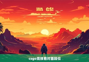 csgo竞技看对面段位