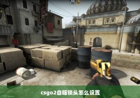 csgo2自瞄锁头怎么设置