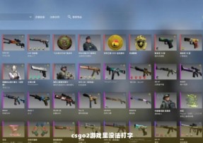 csgo2游戏里没法打字