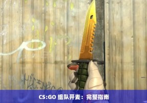 CS:GO 组队开麦：完整指南