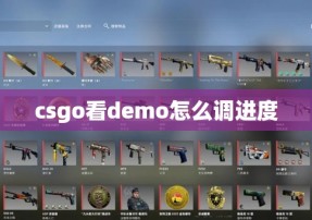 csgo看demo怎么调进度