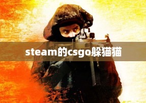 steam的csgo躲猫猫