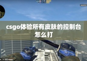 csgo体验所有皮肤的控制台怎么打