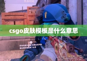 csgo皮肤模板是什么意思