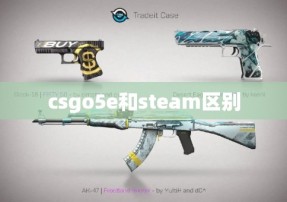 csgo5e和steam区别