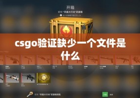 csgo验证缺少一个文件是什么