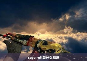 csgo roll是什么意思