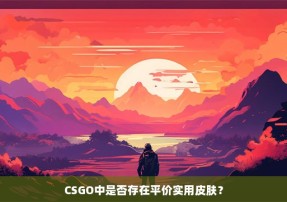 CSGO中是否存在平价实用皮肤？