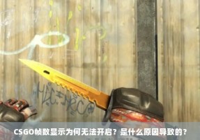 CSGO帧数显示为何无法开启？是什么原因导致的？