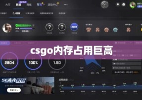 csgo内存占用巨高