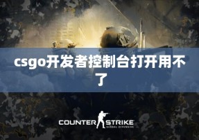 csgo开发者控制台打开用不了