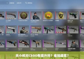 关小核对CSGO有提升吗？谁知道呢？