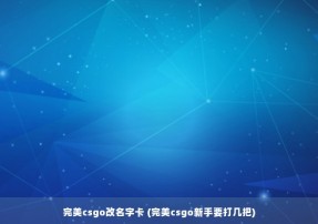 完美csgo改名字卡 (完美csgo新手要打几把)