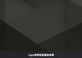 csgo持枪视角最佳参数