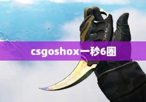 csgoshox一秒6圈