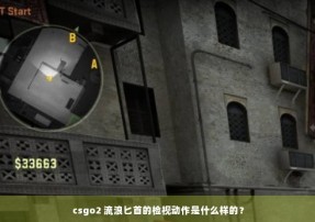 csgo2 流浪匕首的检视动作是什么样的？