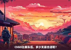 CSGO比赛队伍，多少支最合适呢？