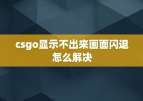 csgo显示不出来画面闪退怎么解决