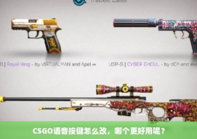 CSGO语音按键怎么改，哪个更好用呢？