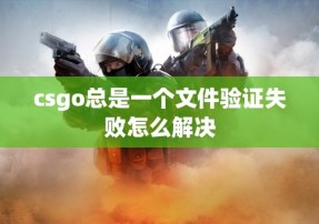 csgo总是一个文件验证失败怎么解决