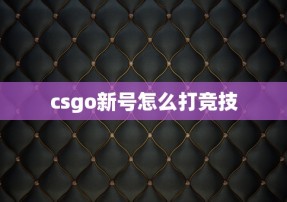 csgo新号怎么打竞技