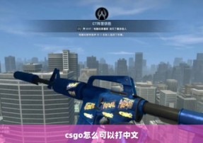 csgo怎么可以打中文