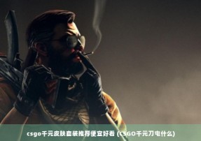 csgo千元皮肤套装推荐便宜好看 (CSGO千元刀屯什么)