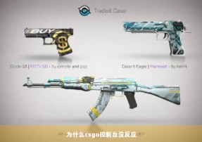 为什么csgo控制台没反应