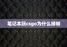 笔记本玩csgo为什么掉帧