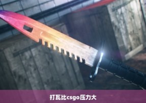 打瓦比csgo压力大