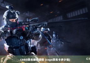 CSGO改名略有磨损 (csgo改名卡多少钱)