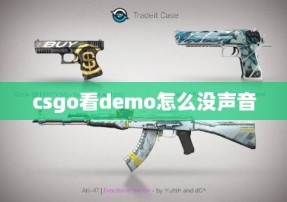 csgo看demo怎么没声音