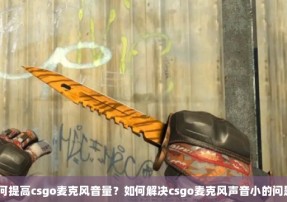 如何提高csgo麦克风音量？如何解决csgo麦克风声音小的问题？