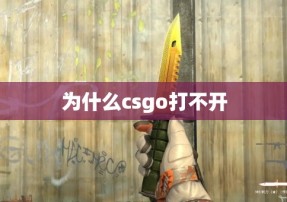 为什么csgo打不开