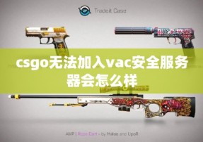 csgo无法加入vac安全服务器会怎么样